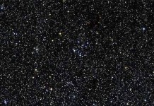 Uzun bir yolculuk tek bir adımla başlar